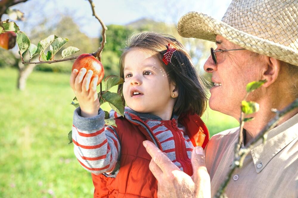 Jak dziadkowie mogą przekazać wnukom miłość do natury? / Podpowiedzi, jak obudzić w dzieciach miłość do natury