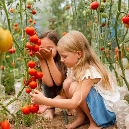 Pomidory w diecie dziecka Kiedy i jak je wprowadzać?