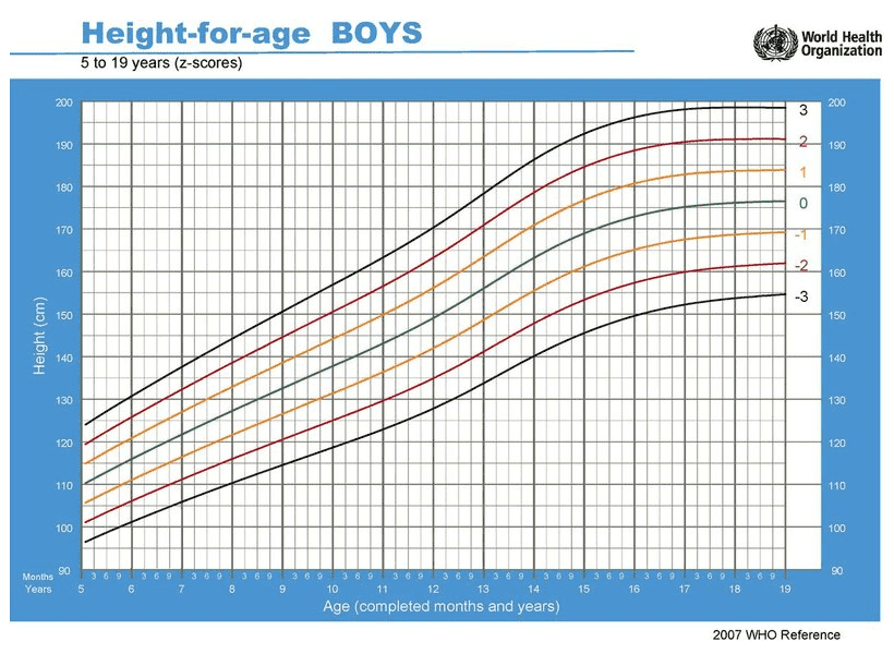 Przykład siatki centylowej (waga do wzrostu) dla chłopców w wieku 5-19 lat