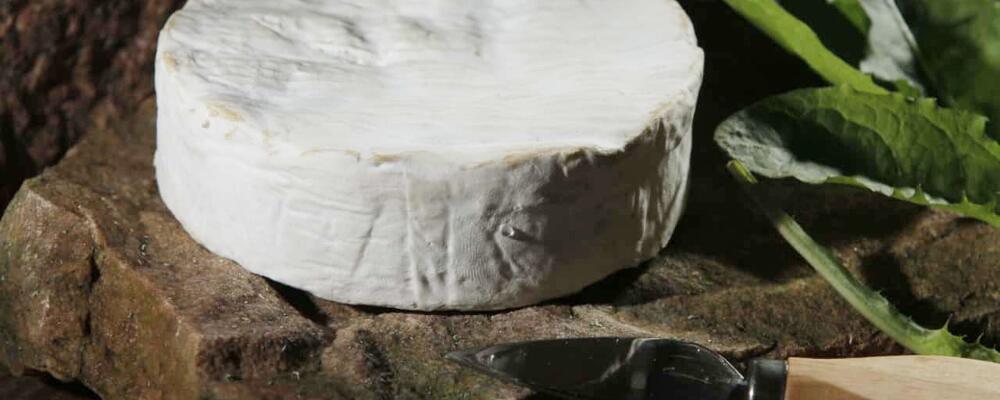 Ser Camembert - kurs wideo